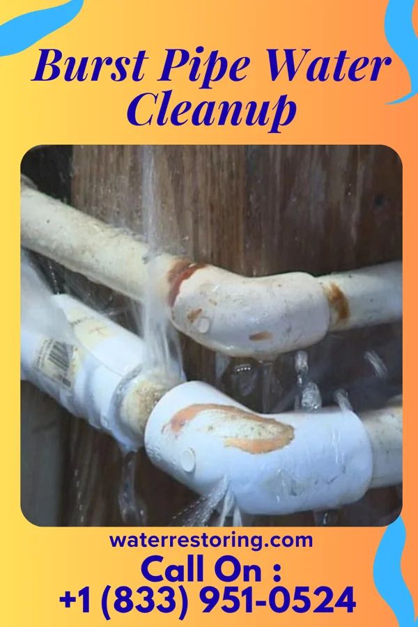 Burst Pipe Water Cleanup in Burnt Mills, MD
