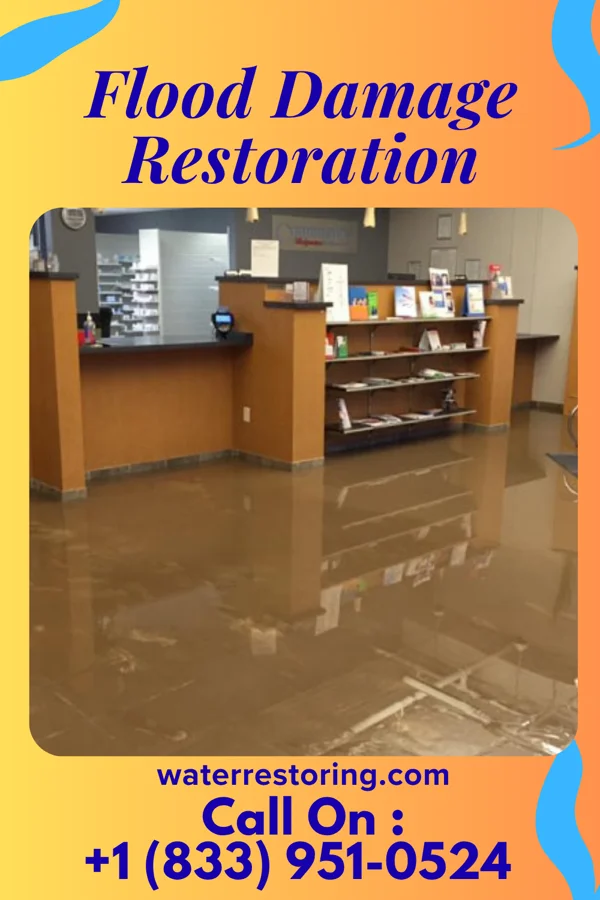 Flood Damage Restoration in Burnt Mills, MD