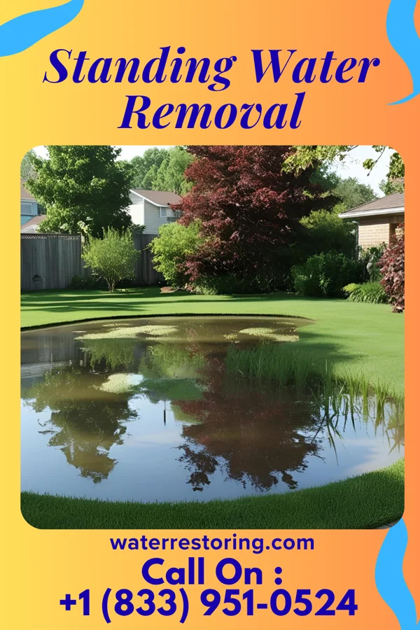 Standing Water Removal in Burnt Mills, MD